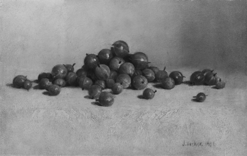 Gooseberries, 1896