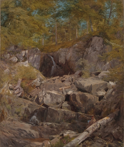 A Study of Trap Rock (Buttermilk Falls), 1863