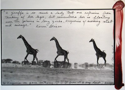 Giraffes in Mirage on the Taru Desert, Kenya, 1960 (later imp)